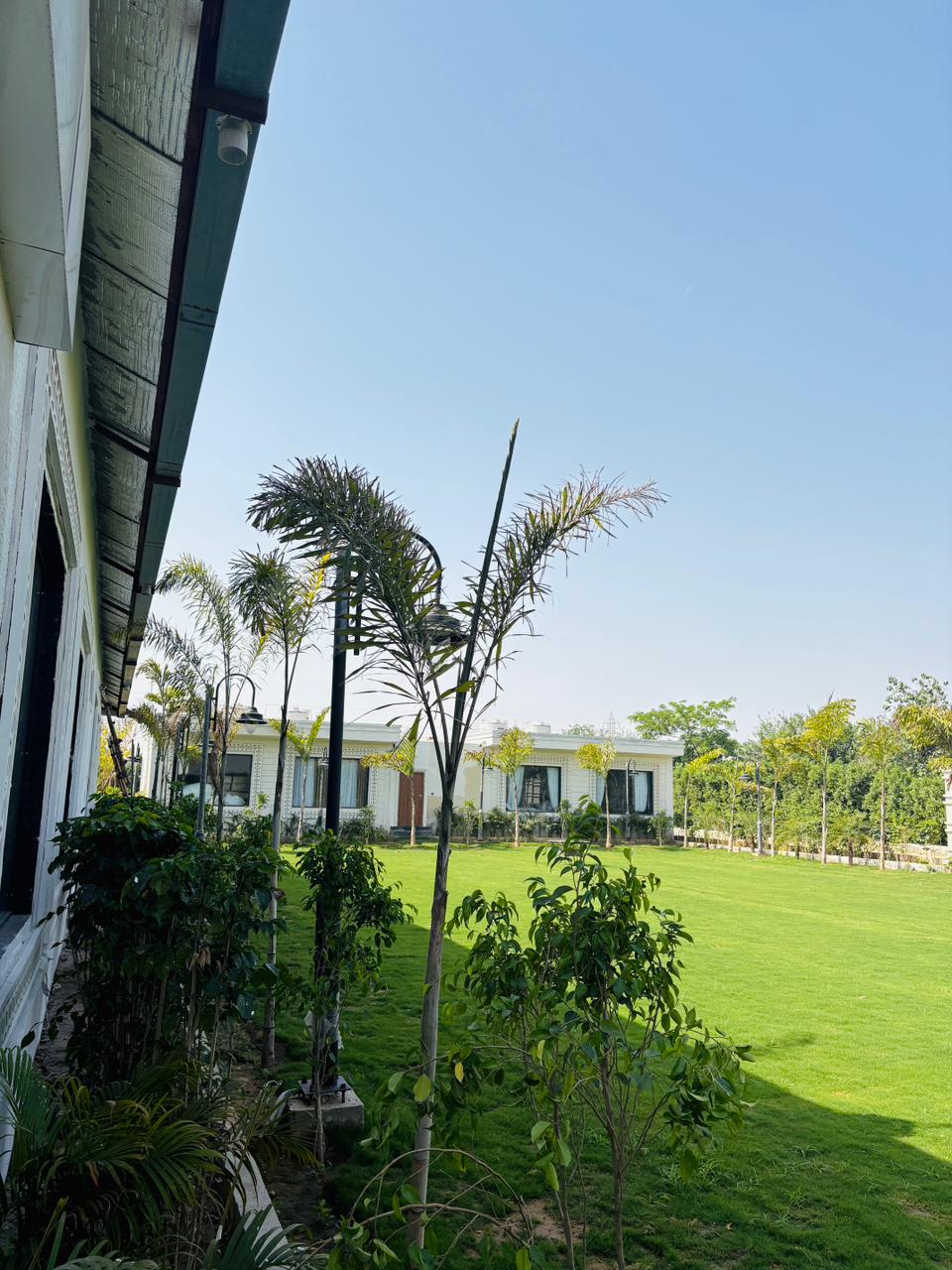 Magical nighttime shot